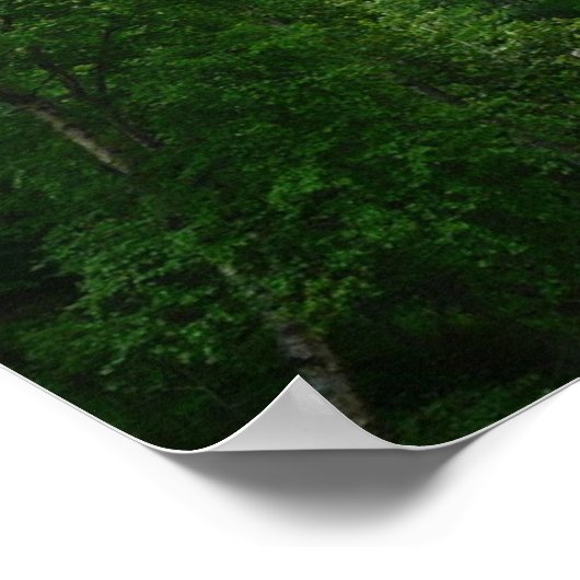 デナリ表現ア・アラスカ列車の休暇の写真 ポスター (角)