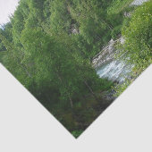 デナリ表現ア・アラスカ列車の休暇の写真 薄葉紙 (詳細)