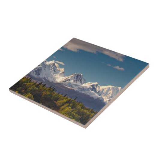 デナリ|アラスカ タイル (側面)