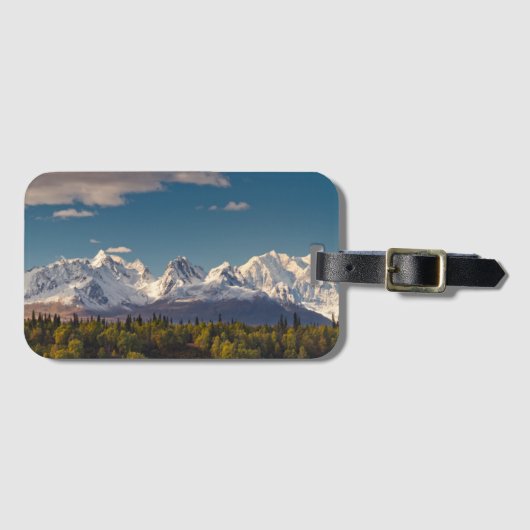 デナリ|アラスカ ラゲッジタグ (正面横)