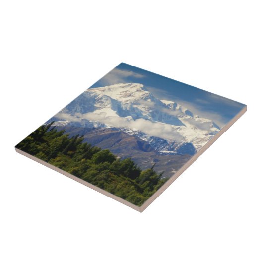 デナリ タイル (側面)