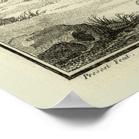 デニス・ディドロによる「人間の解剖学」ヴィンテージ・マッスル ポスター (角)