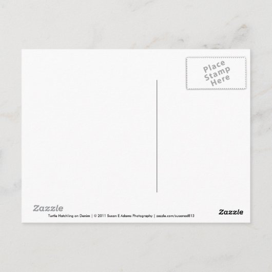 デニムのはがきに登場する亀の巣箱 ポストカード (裏面)