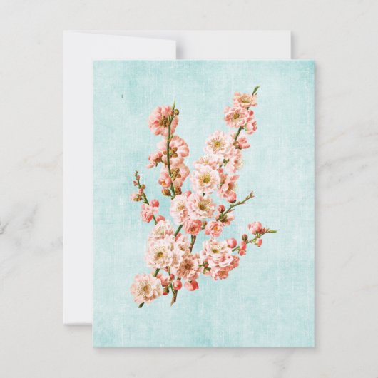 デニムの老いた梅 (正面)