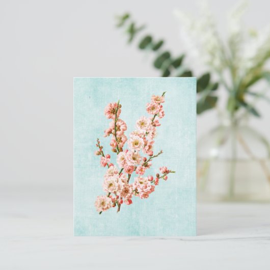 デニムの老いた梅 (スタンド正面)