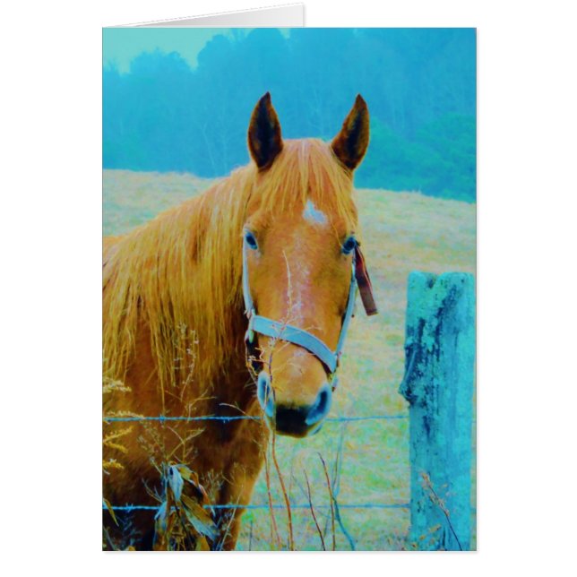 デニムブルー色馬 (正面)