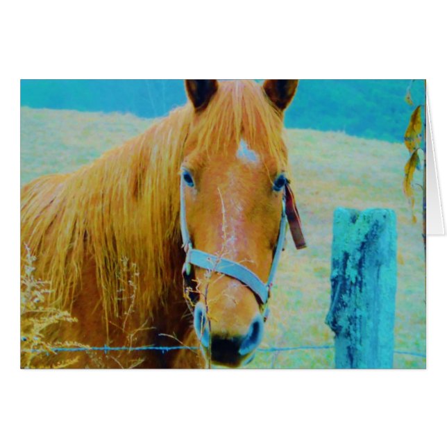 デニムブルー色馬 (正面横)