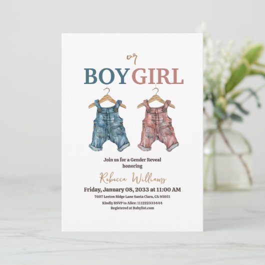 デニム少年または女の子ピンクと青ジーン性別リビール 招待状 (スタンド正面)