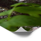 デニークリークプリント ポスター (角)