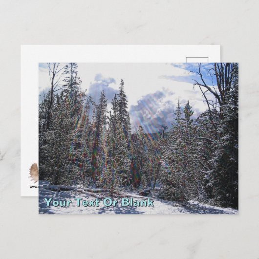 デハビランドビーバーフロートプレーン ポストカード (正面/裏面)