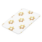 デビッドの星 マグネット (左側)