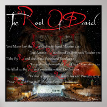 デビッドの根。