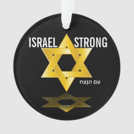デビッドの美しい星 オーナメント