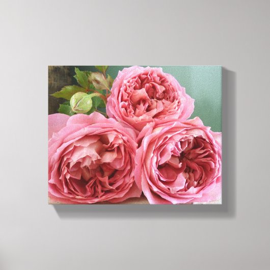 デビッドオースティン伝統英語バラプリント キャンバスプリント (正面)