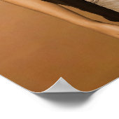 デビッドビーチポスター ポスター (角)