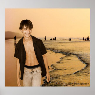 デビッドビーチポスター ポスター