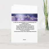 デビッド・ハヌカーのブルー3宝石の星 シーズンカード (裏面)