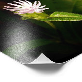 デビュー フォトプリント            (角)