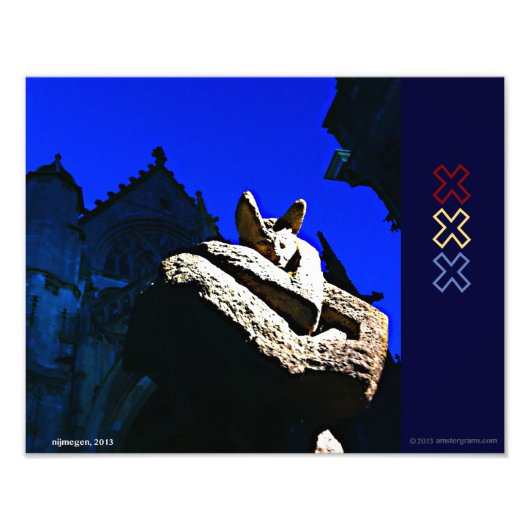 デビルアムステルグラム フォトプリント            (正面)