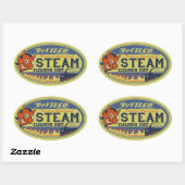 デビルコスチームクリーナー 楕円形シール (シート)