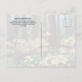 デビルズクラブ、デビルズ後杭国記念碑 ポストカード (裏面)