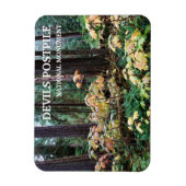 デビルズクラブ、デビルズ後杭国記念碑 マグネット (縦)