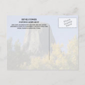 デビルズタワー国立記念物木の秋の葉 ポストカード (裏面)