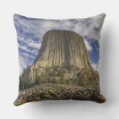 デビルズタワー国立記念物 クッション (裏面)