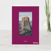 デビルズタワー虎猫 カード (裏面)