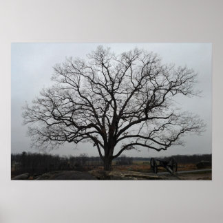 デビルズデンツリー ポスター