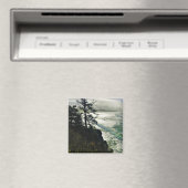 デビルズパンクボウル州パーク，オレゴン，ニューポート マグネット (インサイチュ (食洗機))