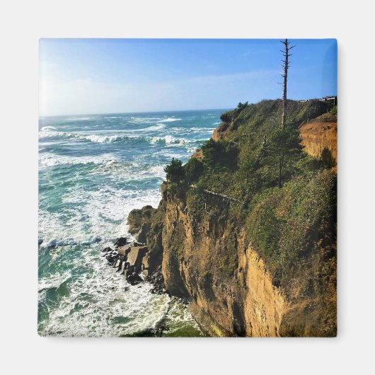 デビルズパンクボウル州パーク，オレゴン，ニューポート マグネット (正面)