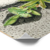 デビルズペイントブラシ ポスター (角)