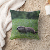 デビルズホールディガー クッション (ブランケット)