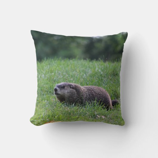 デビルズホールディガー クッション (正面)