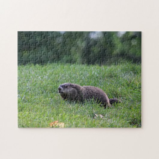 デビルズホールディガー ジグソーパズル (横)