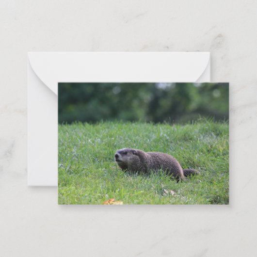 デビルズホールディガー ノートカード (正面)