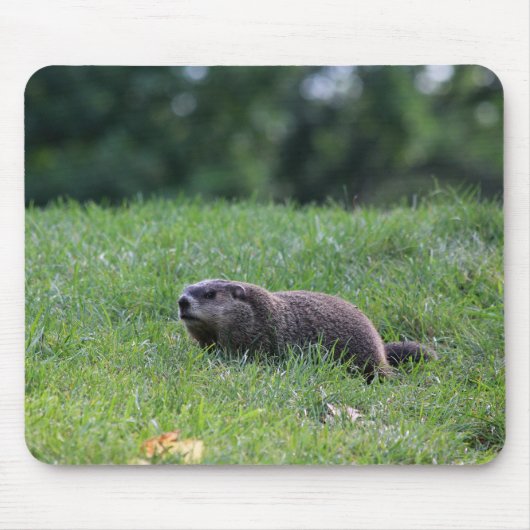 デビルズホールディガー マウスパッド (正面)