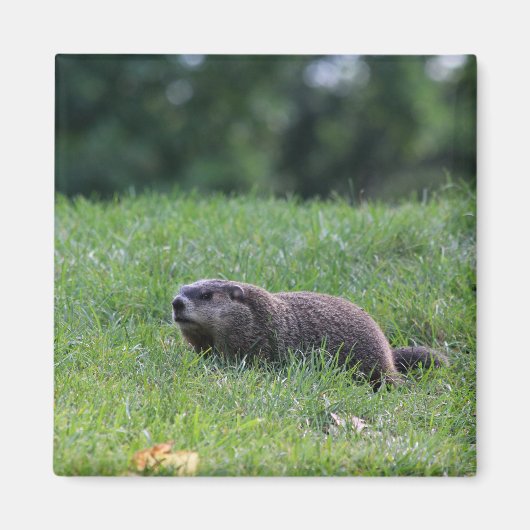 デビルズホールディガー マグネット (正面)