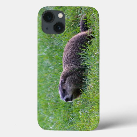 デビルズホールディガー Case-Mate iPhoneケース (裏面)