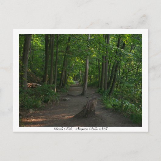 デビルズホ   ールナイアガラ滝ズ， NY ポストカード (正面)