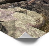 デビルズレイク州パーク ポスター (角)