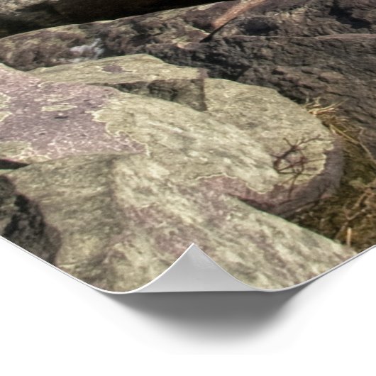 デビルズレイク州パーク ポスター (角)