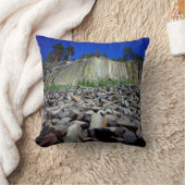 デビルズ·ポストパイルの玄武岩層 クッション (ブランケット)