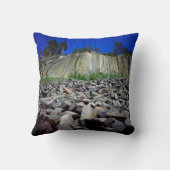 デビルズ·ポストパイルの玄武岩層 クッション (裏面)