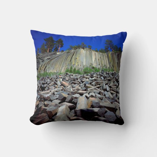 デビルズ·ポストパイルの玄武岩層 クッション (正面)