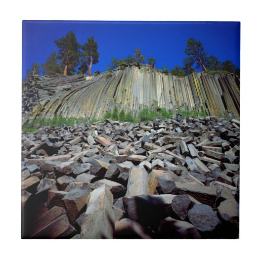 デビルズ·ポストパイルの玄武岩層 タイル (正面)