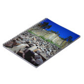 デビルズ·ポストパイルの玄武岩層 ノートブック (左側)