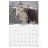 デビーロバーツの写真撮影2013年 カレンダー (2月 2026)