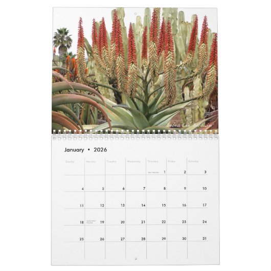デブラリーボールドウィンの壮観な多肉食12-mo カレンダー (1月 2026)
